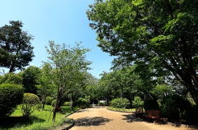 須和田公園