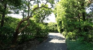市川市芳澤ガーデンギャラリー