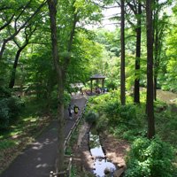 林試の森公園　写真提供 : 東京都公園協会